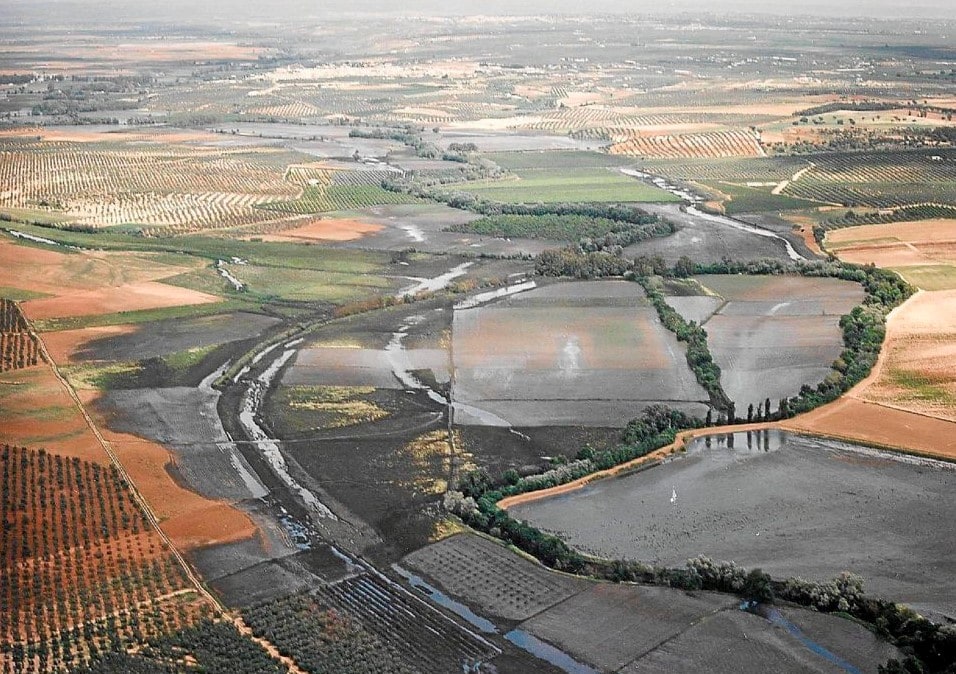 1998 mining spill over the Guadiamar river 
